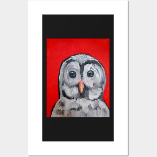 Barred Owl Posters and Art